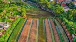 Bongkar Harga Tanah di Indramayu: 5 Langkah Praktis Untung Besar