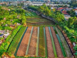 Bongkar Harga Tanah di Indramayu: 5 Langkah Praktis Untung Besar