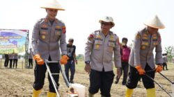 Tanam Jagung Kuartal III 2026 di Indramayu, Polri Dorong Petani Dari Hulu Hingga Pascapanen