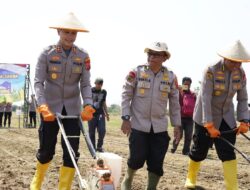 Tanam Jagung Kuartal III 2026 di Indramayu, Polri Dorong Petani Dari Hulu Hingga Pascapanen